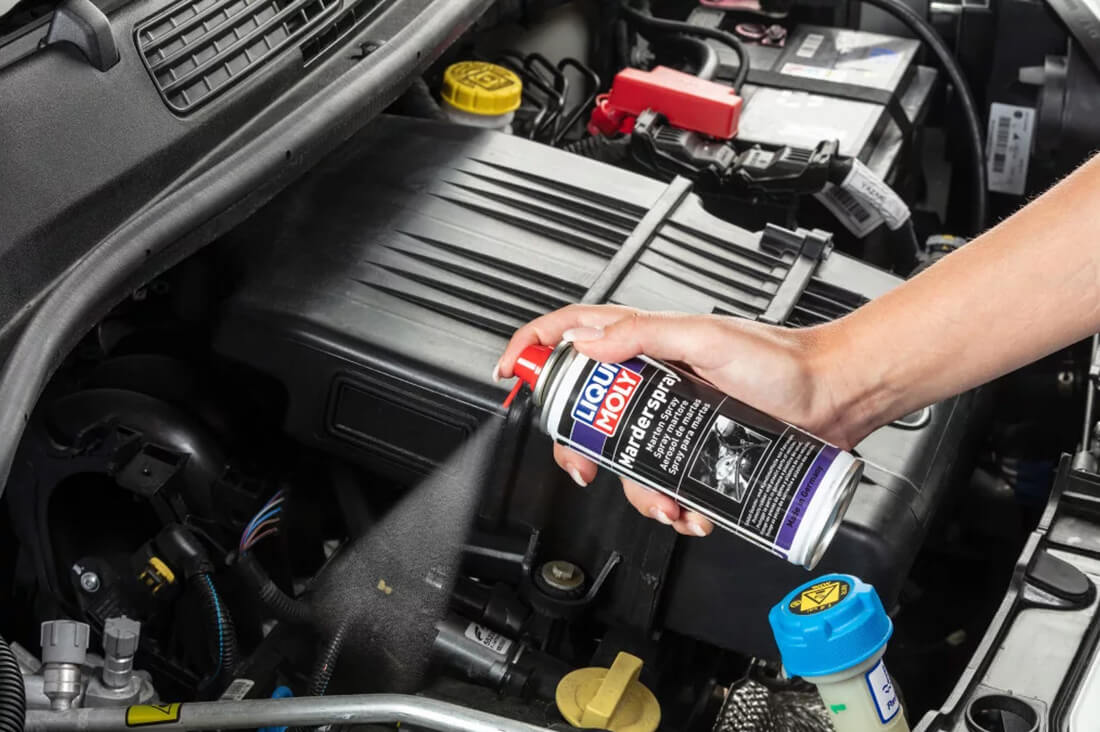Liqui Moly menyét-nyest spray