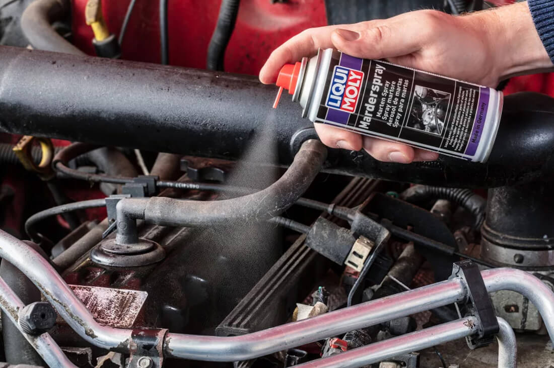 Liqui Moly menyét-nyest spray