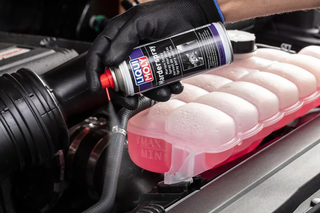 Liqui Moly menyét-nyest spray