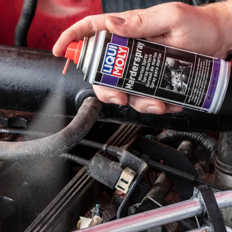 Védd meg gépjárműved a rágcsálóktól - a Liqui Moly Menyét-nyest spray-vel