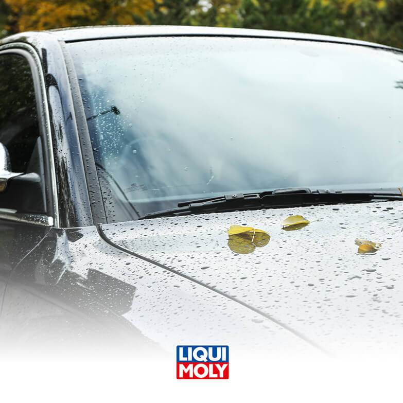 5 tipp, hogyan maradjon tiszta és ápolt az autód az őszi esők után